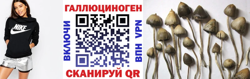 Галлюциногенные грибы MAGIC MUSHROOMS Киренск
