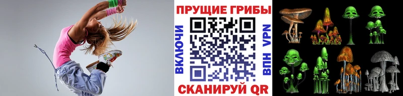 Псилоцибиновые грибы мицелий  Купить закладки  Киренск 